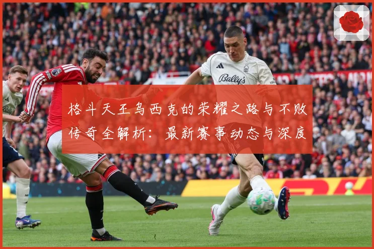 格斗天王乌西克的荣耀之路与不败传奇全解析：最新赛事动态与深度分析